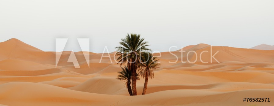 Picture of Morocco Sand dunes of Sahara desert